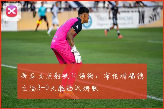 蒂亚戈点射破门领衔,布伦特福德主场3-0大胜西汉姆联